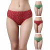 DIXCY SLIMZ GRACE PANTY FOR WOMAN (PACK OF 2)